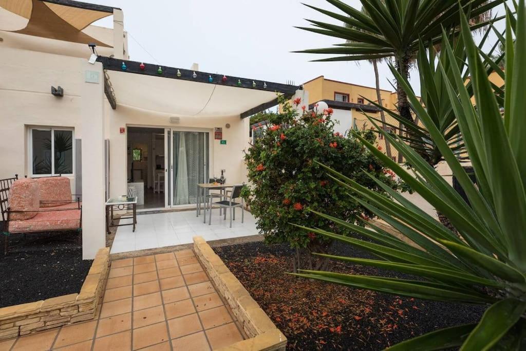 شقة B-Rent Alisios Playa Isla Bonita كوراليهو المظهر الخارجي الصورة