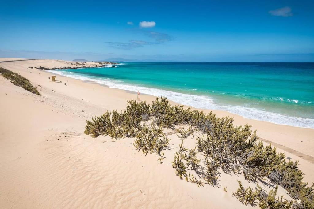 شقة B-Rent Alisios Playa Isla Bonita كوراليهو المظهر الخارجي الصورة
